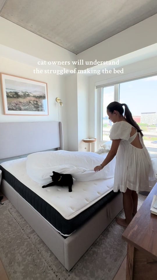 Post 10 by Caroline Jones on TikTok (video)