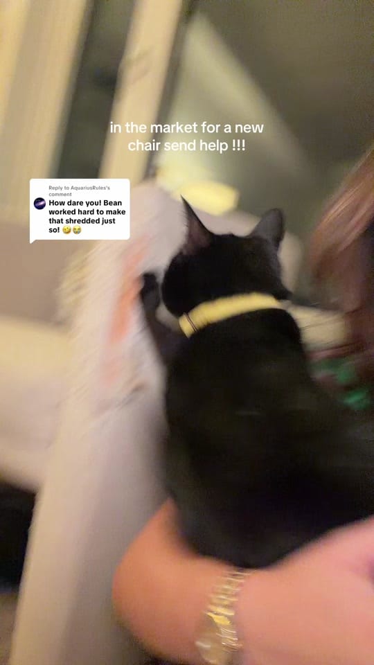 Post 1 by Caroline Jones on TikTok (video)