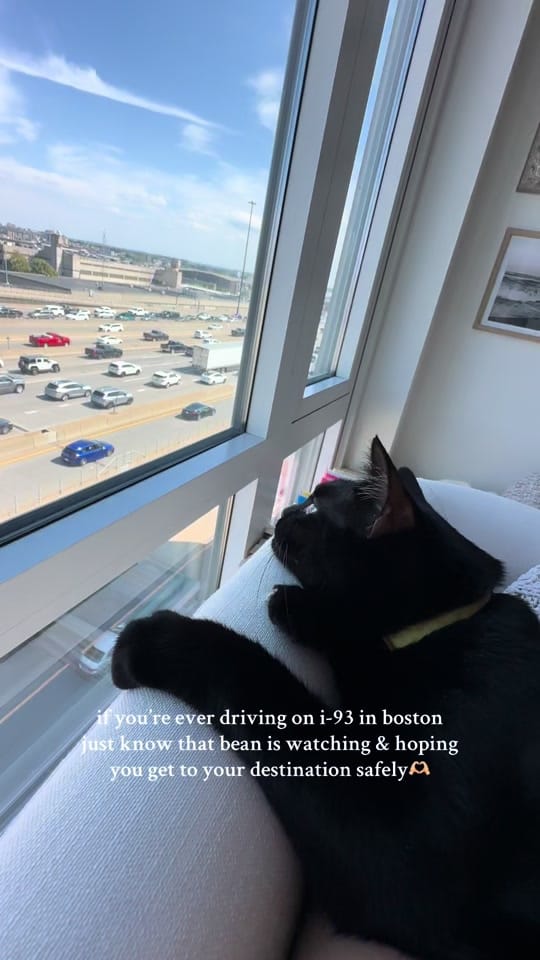 Post 9 by Caroline Jones on TikTok (video)