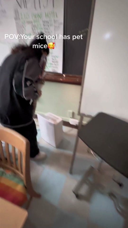 Post 10 by Thatwhoreinlife on TikTok (video)