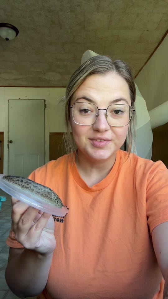 Post 10 by Tay on TikTok (video)