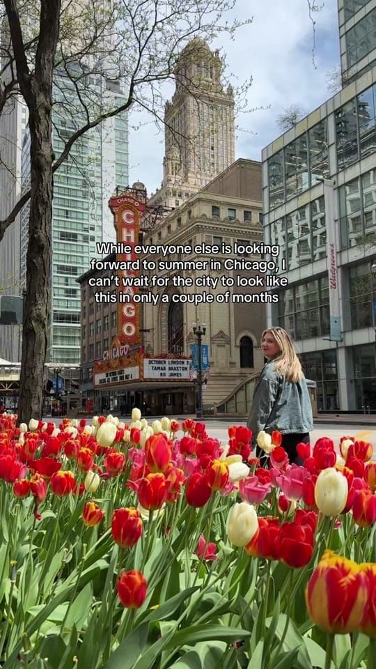 Post 6 by Cori✈️🏙️🍕 on TikTok (video)
