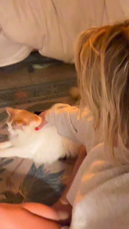 Post 4 by Susan Berry on TikTok (video)