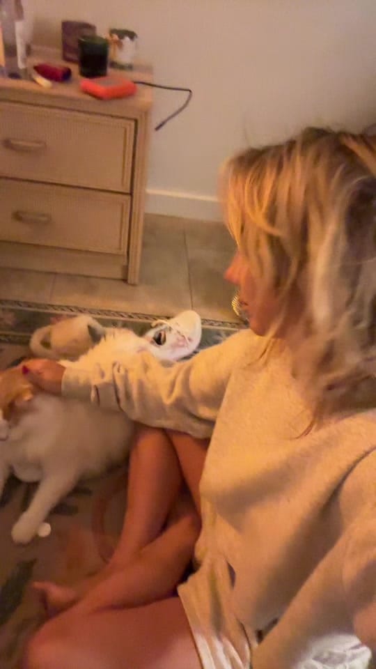 Post 5 by Susan Berry on TikTok (video)