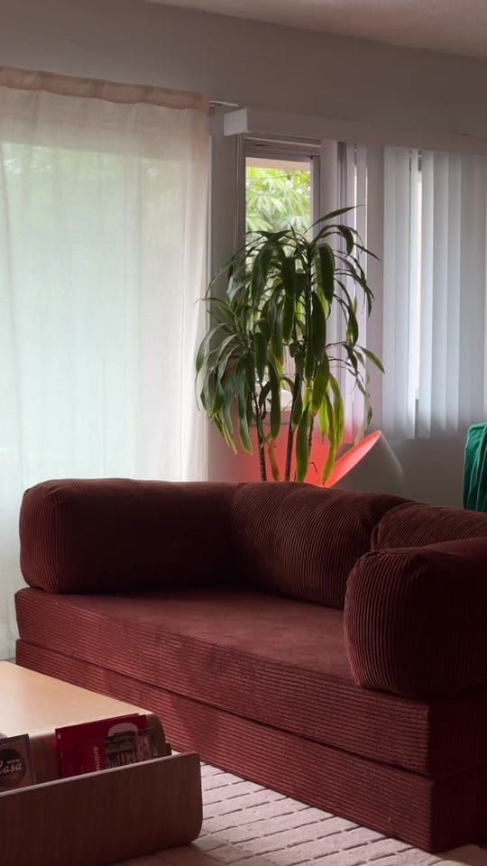 Post 3 by Stuphyy on TikTok (video)