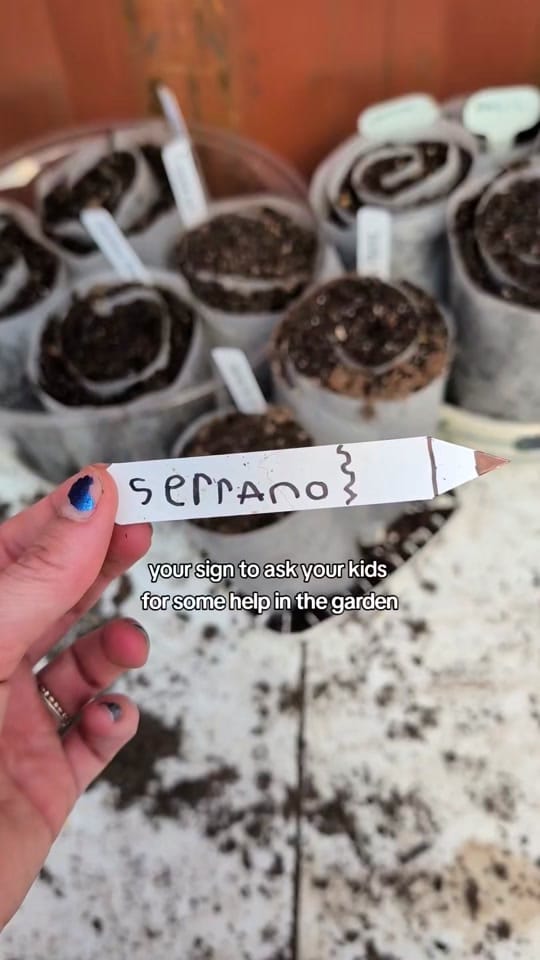 Post 3 by mia on TikTok (video)