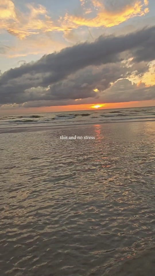 Post 6 by Beau and Ami on TikTok (video)