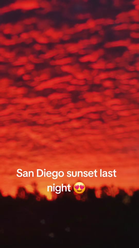 Post 2 by Beau and Ami on TikTok (video)
