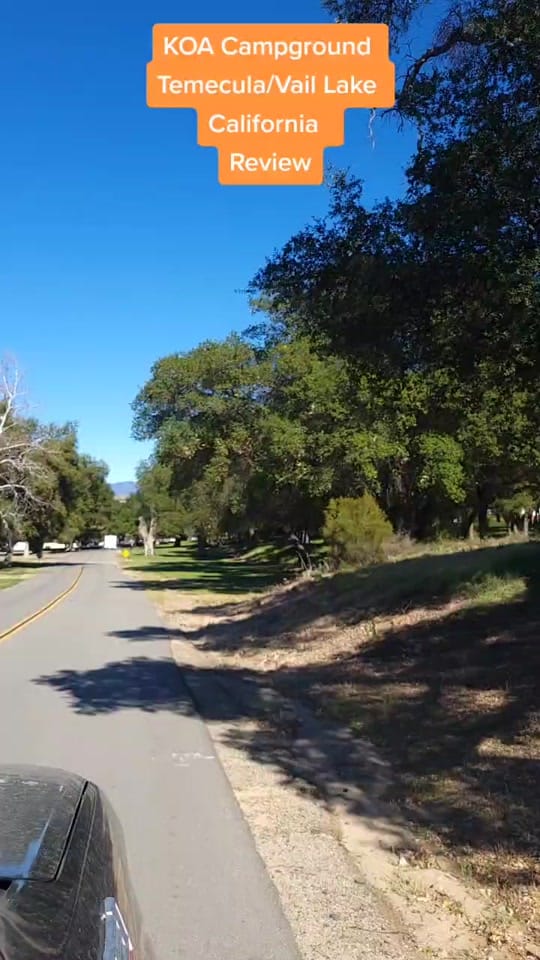 Post 10 by Beau and Ami on TikTok (video)