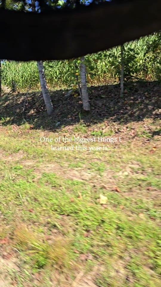 Post 5 by Beau and Ami on TikTok (video)