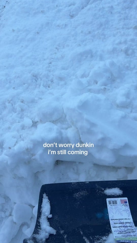 Post 2 by cait on TikTok (video)