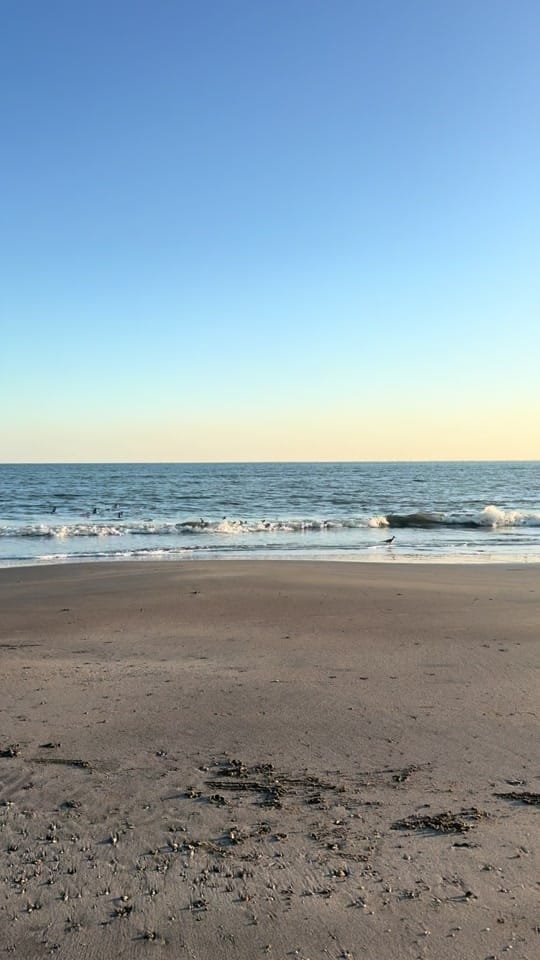 Post 7 by Hannah Ashton on TikTok (video)