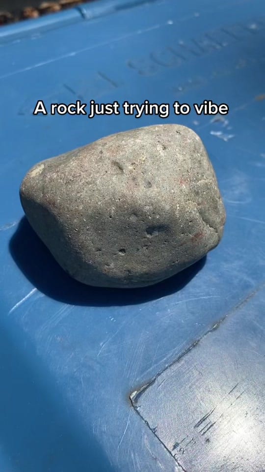 Post 9 by CJ Bristol on TikTok (video)
