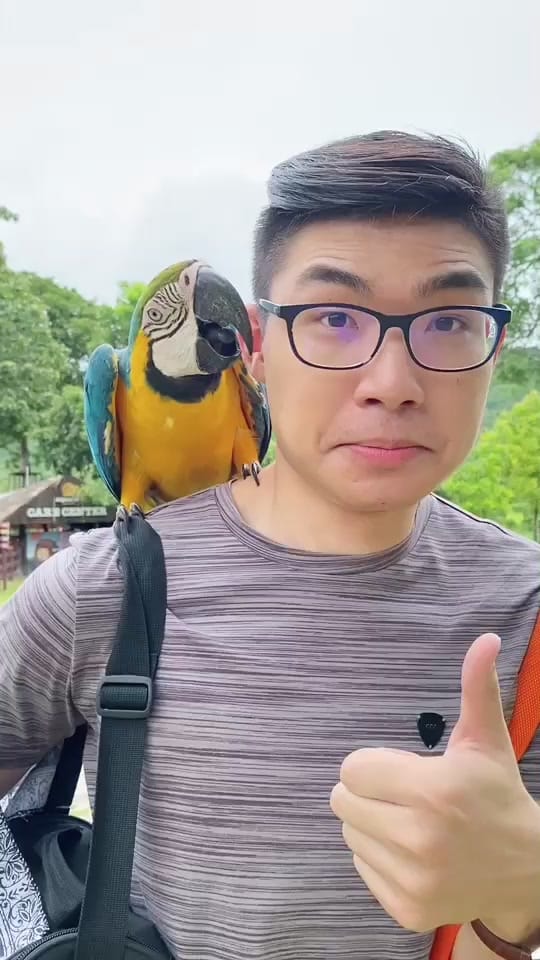 Post 10 by Num Ronnarin👨🏻‍💻 on TikTok (video)
