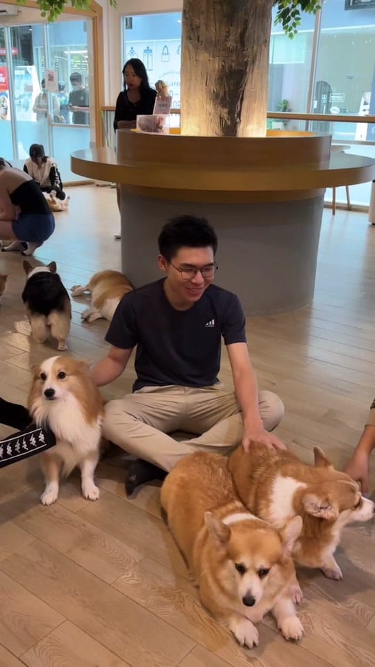 Post 1 by Num Ronnarin👨🏻‍💻 on TikTok (video)