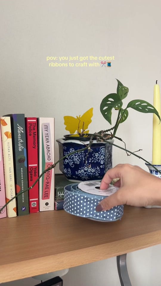 Post 1 by Sue ☆ on TikTok (video)