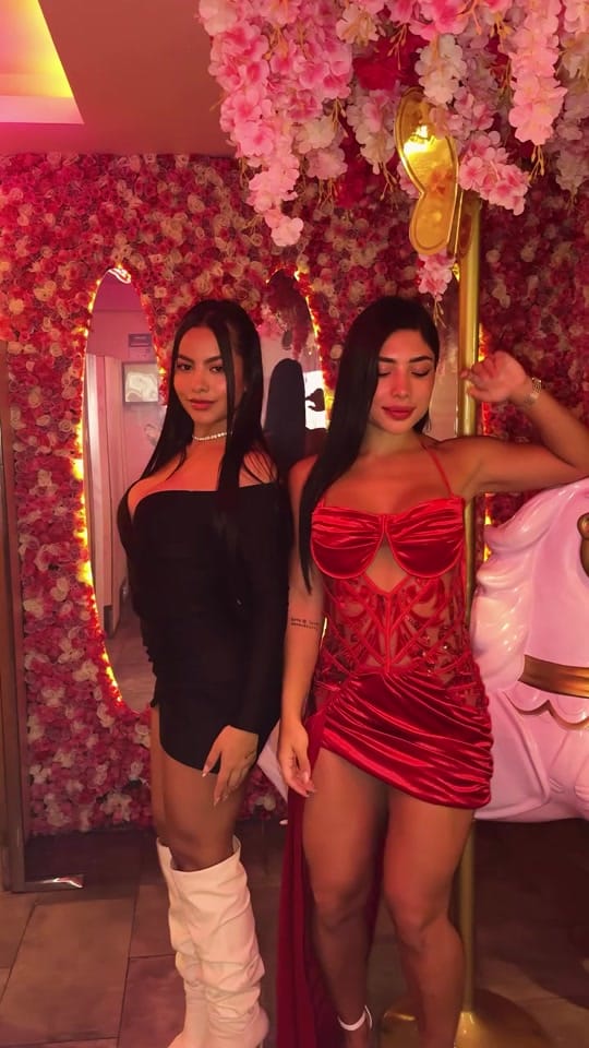 Post 4 by Laura Van PROFE5ORA on TikTok (video)