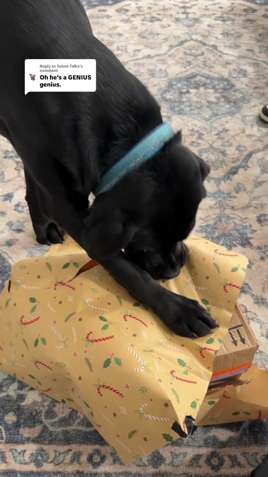 Post 2 by Nikell Woodland on TikTok (video)