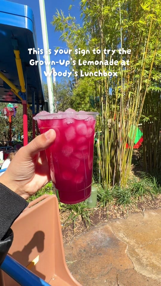 Post 6 by den on TikTok (video)