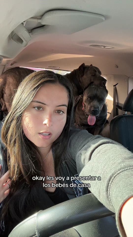 Post 10 by yi on TikTok (video)