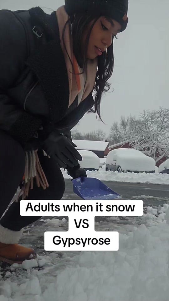 Post 5 by Susanna Mayes on TikTok (video)