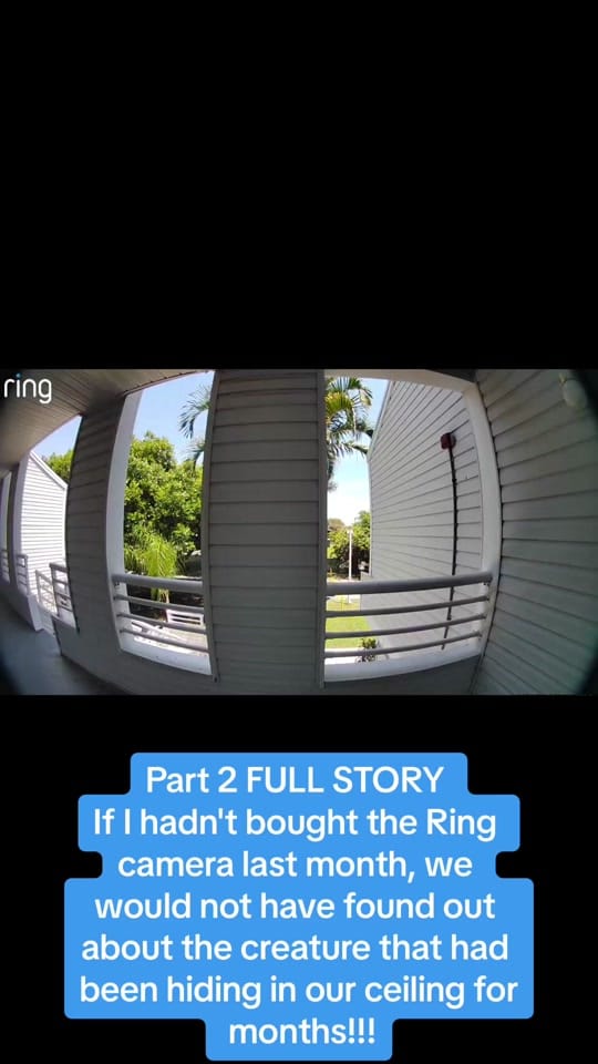 Post 8 by Jem Calobrace on TikTok (video)