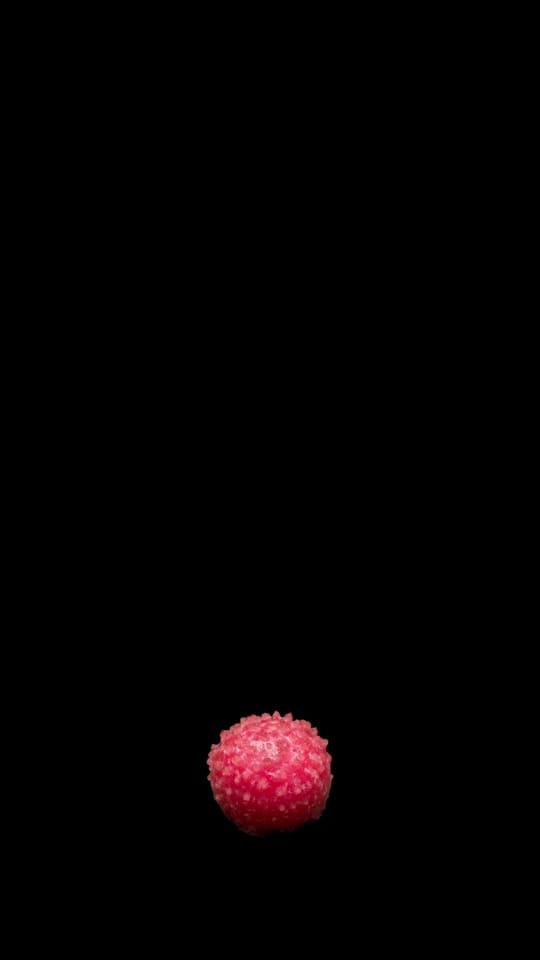 Post 1 by Riley Loew on TikTok (video)