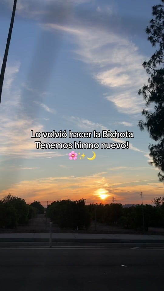 Post 10 by Isabel 🤠🌵🤎 on TikTok (video)