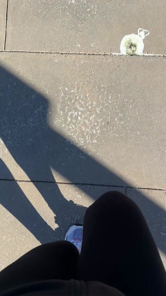 Post 5 by Isabel 🤠🌵🤎 on TikTok (video)