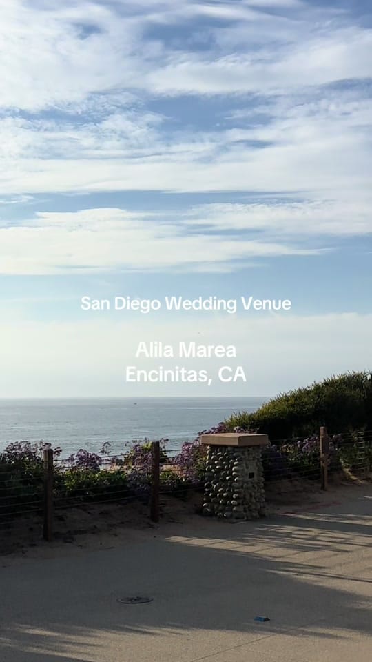 Post 3 by Katie Carozza on TikTok (video)