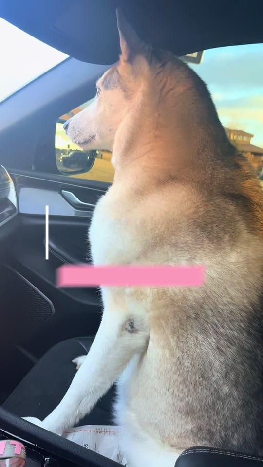 Post 4 by Breewillinspire on TikTok (video)