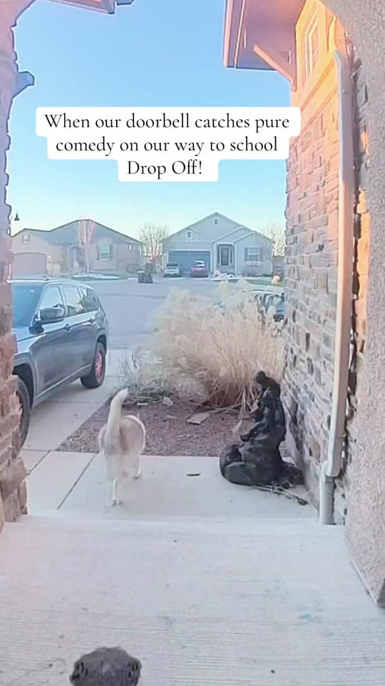 Post 5 by Breewillinspire on TikTok (video)