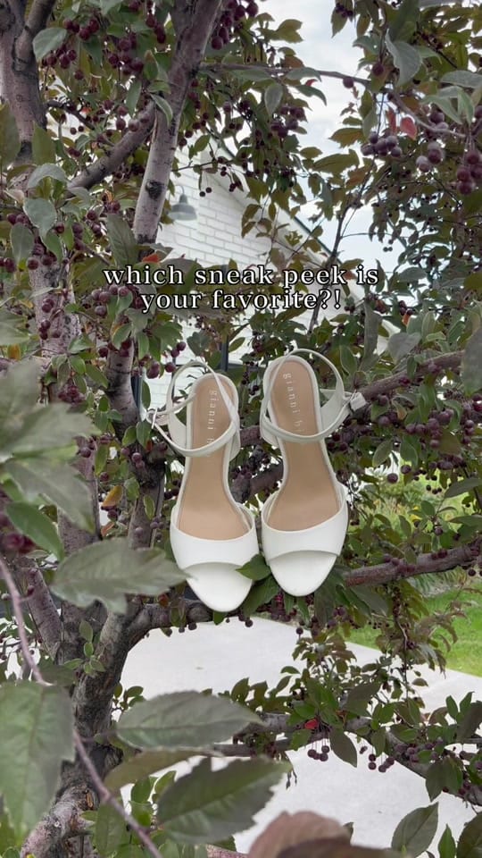 Post 6 by boccaraephoto on TikTok (video)