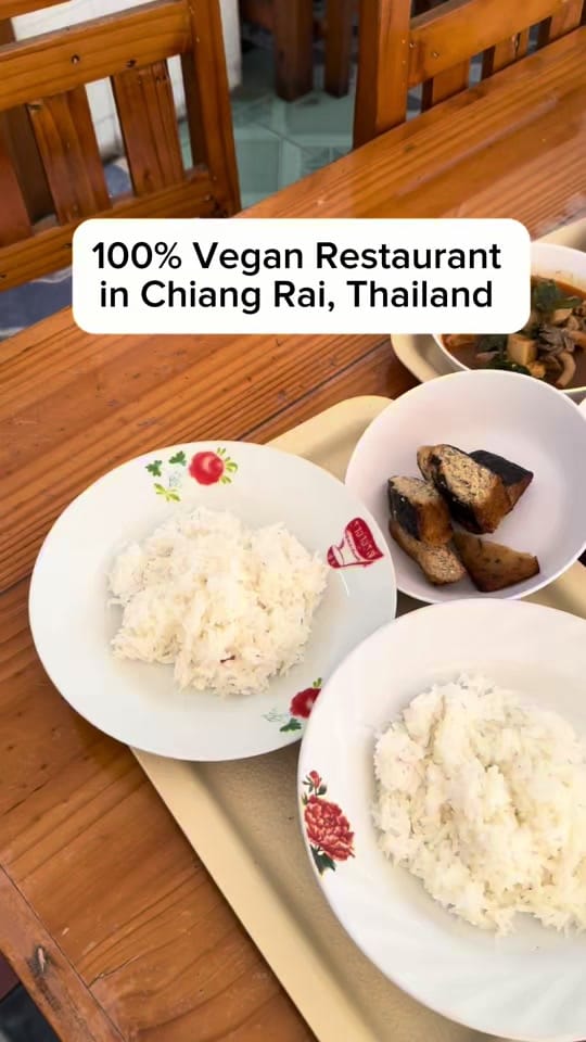 Post 1 by Jen’s Side Quests on TikTok (video)