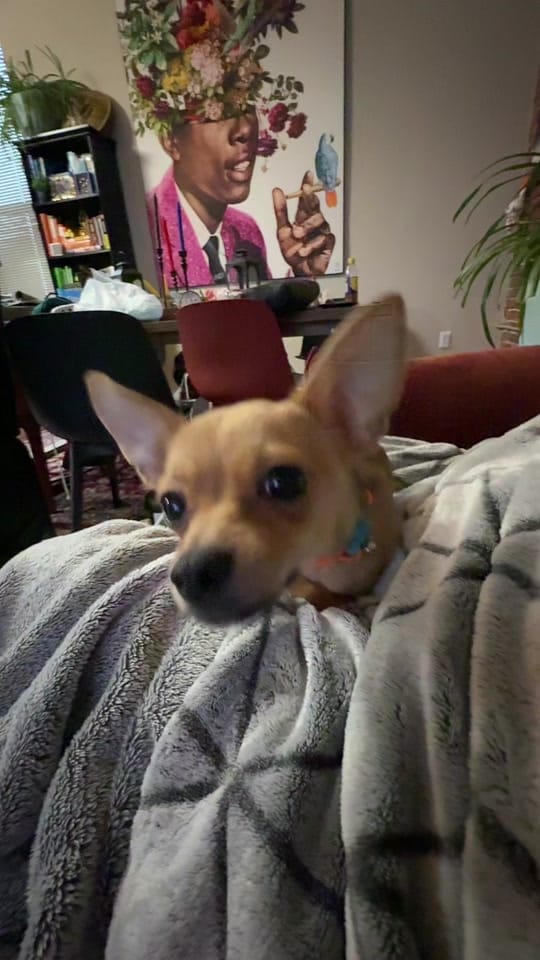 Post 10 by BillyOnDaGo🇱🇦🇹🇹 on TikTok (video)