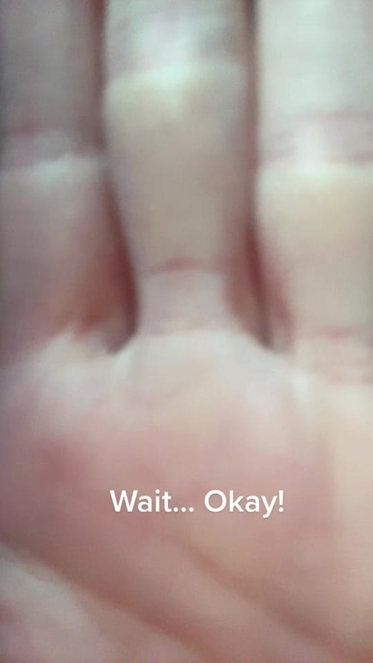 Post 2 by CatVolek on TikTok (video)