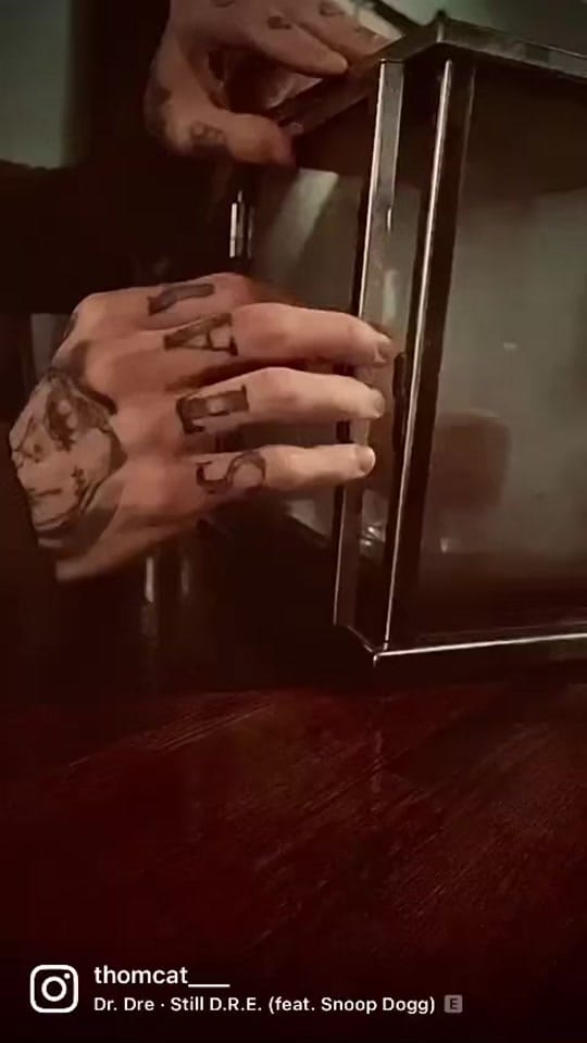 Post 8 by CatVolek on TikTok (video)