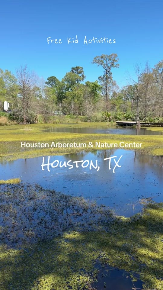Post 3 by Savannah_HoustonTX on TikTok (video)