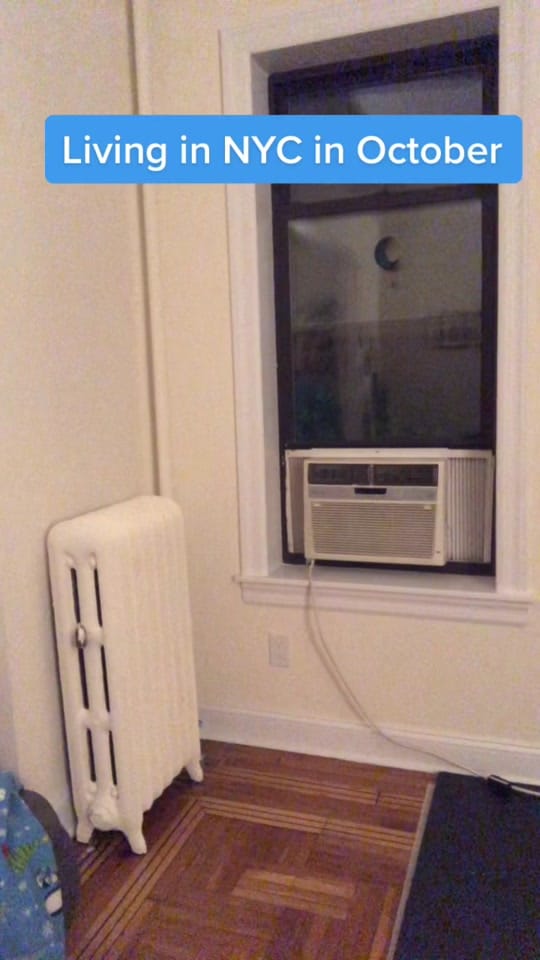Post 10 by Emily Ritter on TikTok (video)