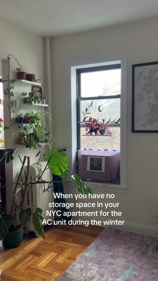 Post 6 by Emily Ritter on TikTok (video)