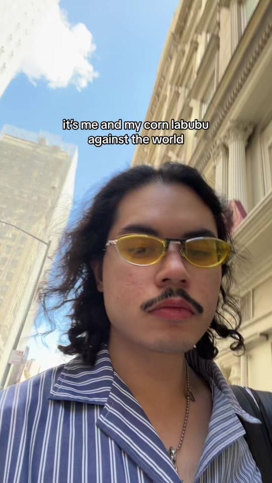 Post 3 by Peter DeVito on TikTok (video)
