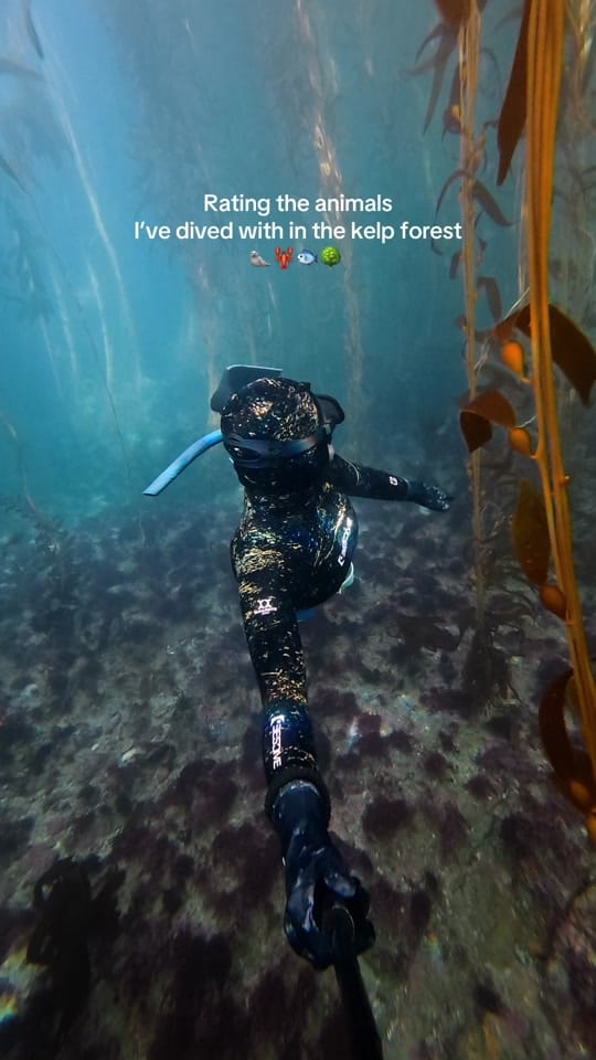Post 8 by Tammy | Travel & Diving 🏝️ on TikTok (video)