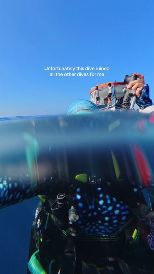 Post 6 by Tammy | Travel & Diving 🏝️ on TikTok (video)