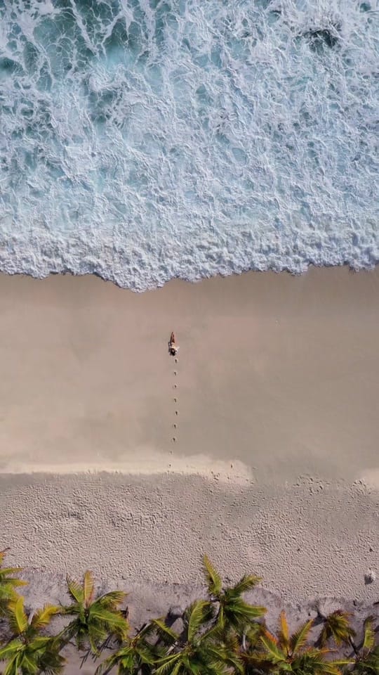 Post 2 by Tammy | Travel & Diving 🏝️ on TikTok (video)