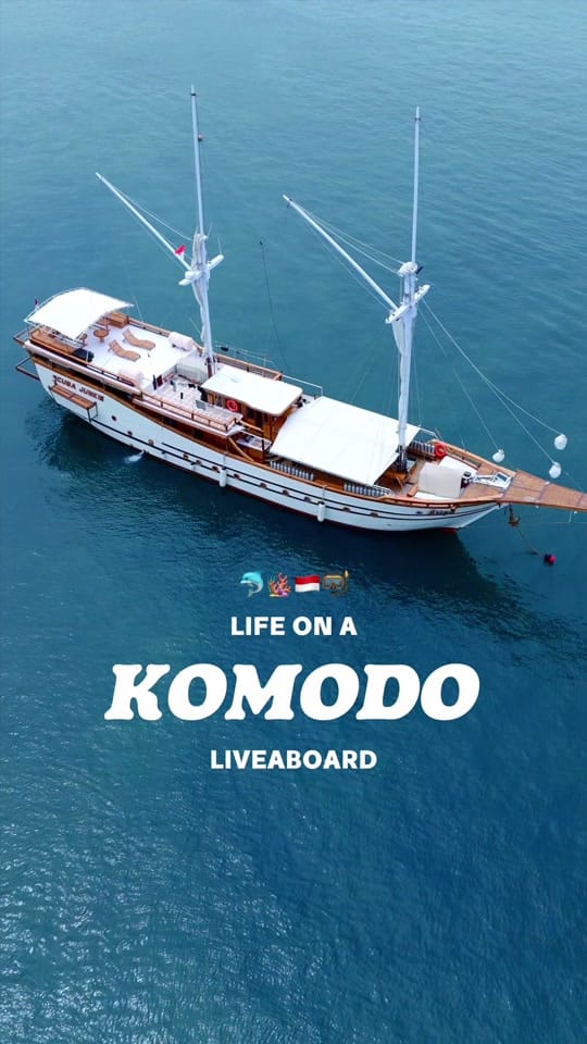 Post 1 by Tammy | Travel & Diving 🏝️ on TikTok (video)
