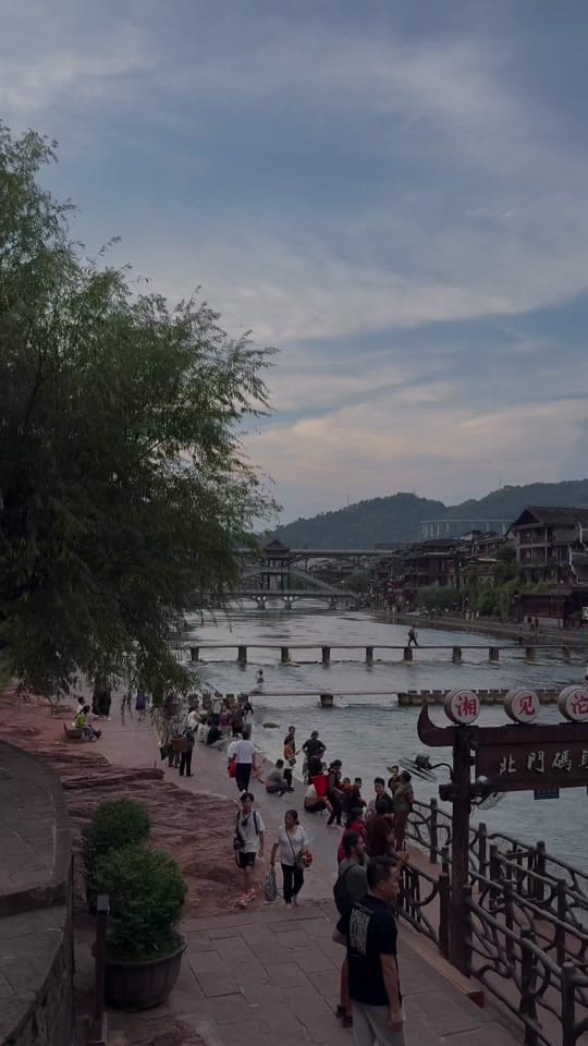 Post 7 by BiteBackBaby on TikTok (video)