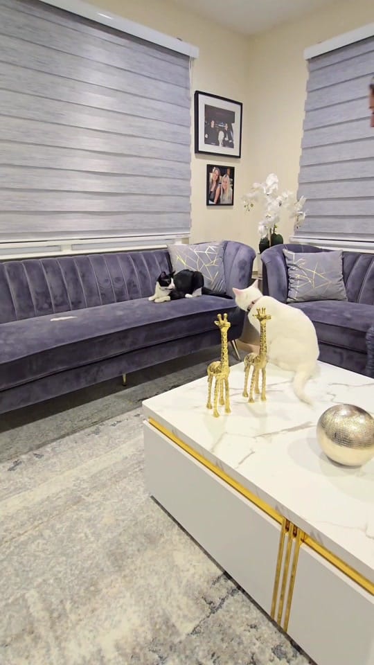 Post 9 by Didem Guneren on TikTok (video)