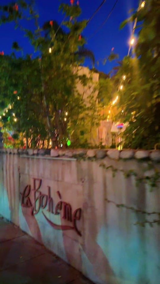 Post 4 by Manefoto on TikTok (video)