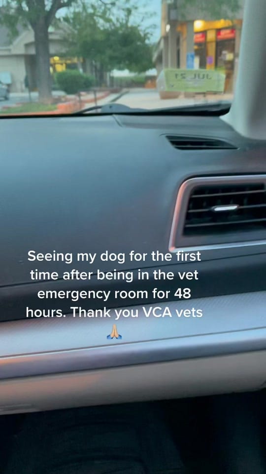 Post 9 by Clara Scholtz on TikTok (video)