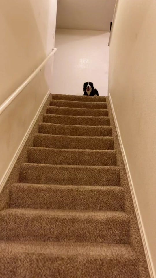 Post 10 by Clara Scholtz on TikTok (video)